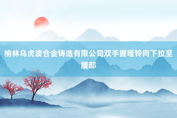 榆林乌虎波合金铸造有限公司双手握哑铃向下拉至腰部